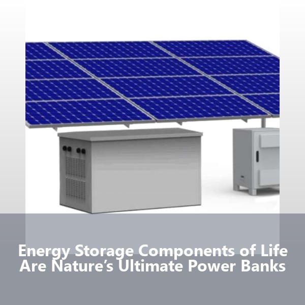 Energy Storage Components of Life Are Nature’s Ultimate Power Banks